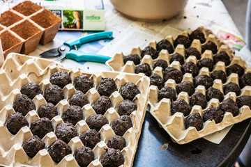 Production of seed balls