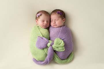 Fraternal Twin Newborn Girls