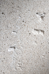 concrete detail bakcground. grunge wall cement texture