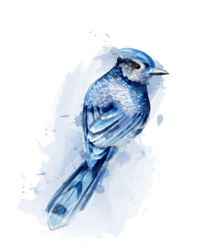 Cute blue bird watercolor Vector isolated on white. Vintage designs