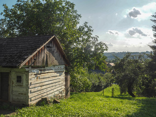 OLYMPUS DIGITAL CAMERA © Marcin