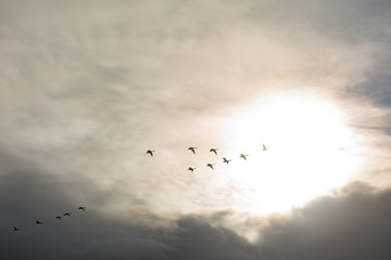 Iceland. Beautiful summer landscapes with a view of the nature of the island