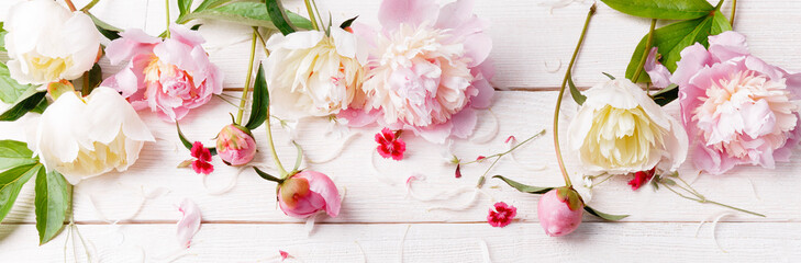 Fototapety  Delicate white pink peony with petals flowers and white ribbon on wooden board. Overhead top view, flat lay. Copy space.
