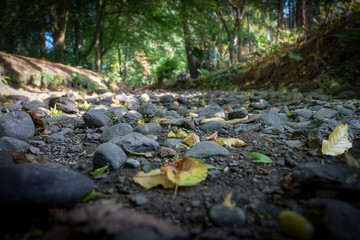 Ausgetrocknetes Flussbett