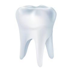 Realistic tooth poster. Illustrations isolated on white background. Graphic concept for your design