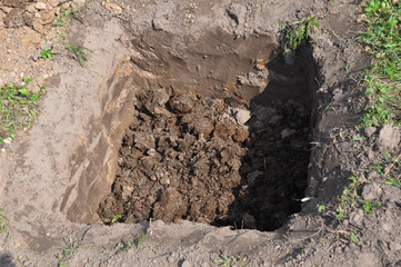 Tree organic fertilization Compost in digging hole. Organic fertilizer humus, mold, mould for tree planting. Tutorial photo.