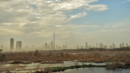 Obraz premium Ras Al Khor Wildlife Sanctuary. Dubai. UAE