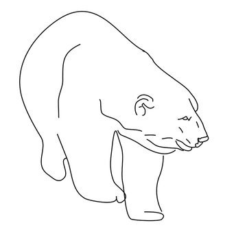 Eisbaer 