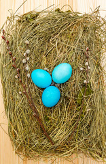 Easter eggs concept in a nest on hay with willow seals on wooden background.