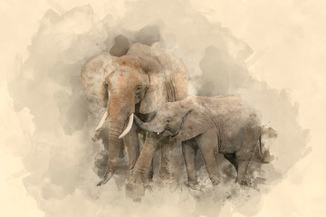 Beautiful watercolour painting of Mother and Calf Baby African Elephant Loxodonta Africana
