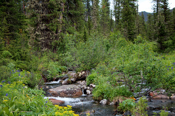 The views of the National park Ergaki in Russia