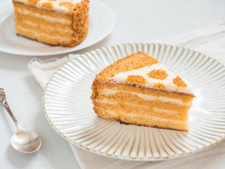 Piece of delicious cake. Delicate honey cake and sour cream. Dessert on a plate and white background