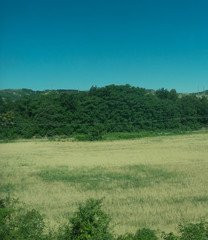 Fototapeta na wymiar Italy,La Spezia to Kasltelruth train, a large green field with trees in the background