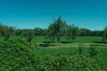 Italy,La Spezia to Kasltelruth train, a large green field with trees in the background