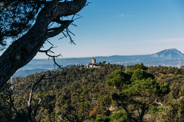 landscape with green forest and castle on hills, barcelona, spain