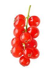 Johannisbeeren
