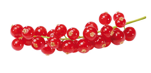 Johannisbeeren