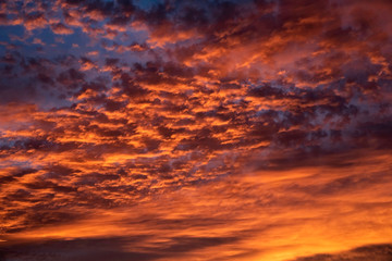 Fototapeta premium A majestic and awe-inspiration combination of deep blue sky and fiery orange and yellow clouds at sunset.