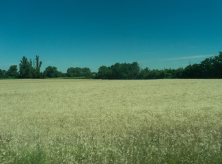 Obraz premium Italy,La Spezia to Kasltelruth train, a large green field with trees in the background