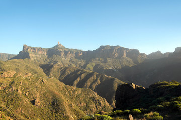  roque nublo