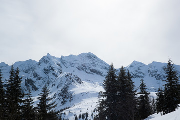 Landscape view of mountain tops in the Zakopane and in Poland area covered with fresh snow during a sunny day