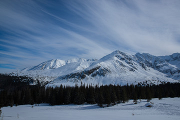 Fototapeta premium Mountain peaks in Zakopane and in Poland cover with fresh snow during a sunny day