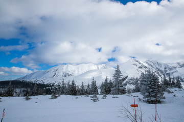 Naklejka premium Snow covered mountain peaks in Zakopane and in Poland cover with fresh snow on a sunny day