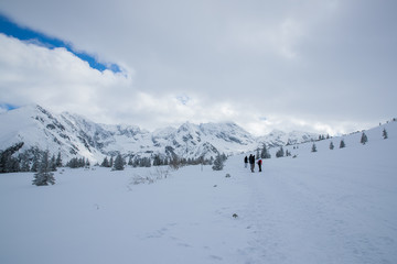 Snow covered mountains in the Zakopane and Poland area covered with fresh snow during a sunny day