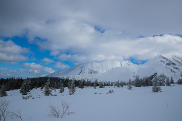 Snow covered mountain peaks in Zakopane and in Poland cover with fresh snow on a sunny day