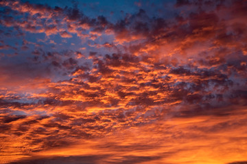 Fototapeta premium A majestic and awe-inspiration combination of deep blue sky and fiery orange and yellow clouds at sunset.