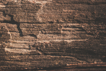wood texture background