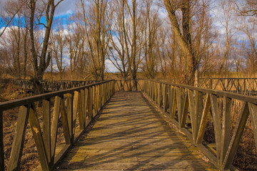 Naklejka na ściany i meble A wooden walkway in the Kopacki Rit Nature Reserve in winter in north east Croatia. Located by the Serbian border, close to the confluence of the Drava and Danube rivers, it is one of the largest and 
