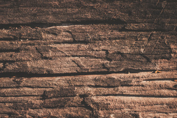 wood texture background