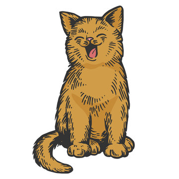 recommend clip art: Yawning cat color sketch engraving vector illustration. Scratch board style imitation. Black and white hand drawn image.