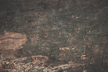 wood texture background