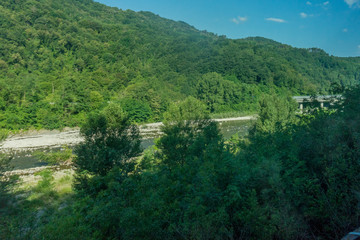 Italy,La Spezia to Kasltelruth train, a group of bushes with a mountain in the background