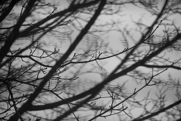 Abstract blur of colors. Warm and cool tones.