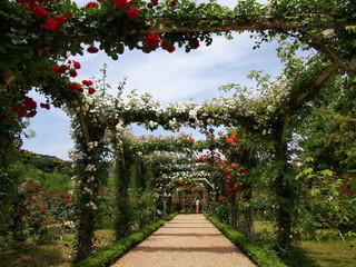 薔薇に覆われたアーチ
