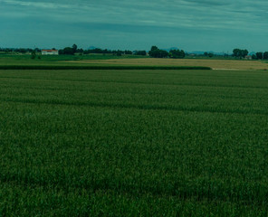 Obraz premium Italy,La Spezia to Kasltelruth train, a close up of a green field