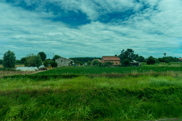 Obraz premium Italy,La Spezia to Kasltelruth train, a close up of a lush green field