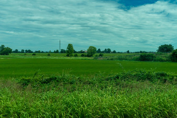 Italy,La Spezia to Kasltelruth train, a close up of a lush green field