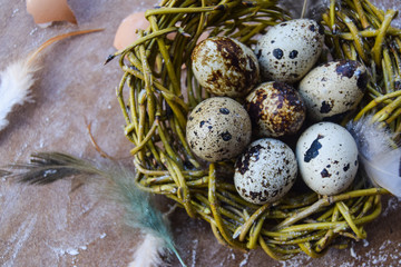 bright Easter background; Easter eggs basket and sprig flowers on blue table background