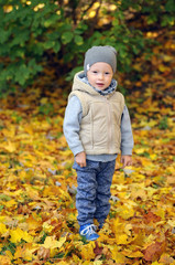 Two years old boy standing on falling autumn leaves