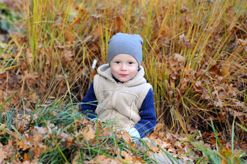 Happy little boy sitting in grass in cap surrounded by fallen leaves.