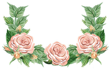 pink watercolor roses