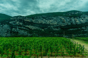 Italy,La Spezia to Kasltelruth train, a large green field with a mountain in the background