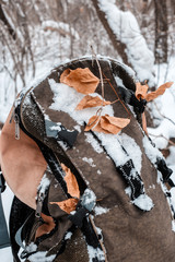 backpack for a hike in the winter
