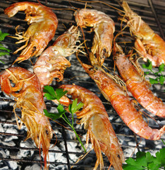Grilled king prawns