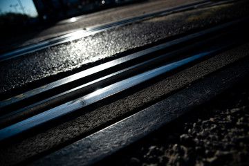 Tracks of an urban tram between the asphalt of a street.