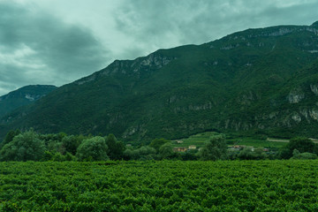 Fototapeta na wymiar Italy,La Spezia to Kasltelruth train, a large green field with a mountain in the background